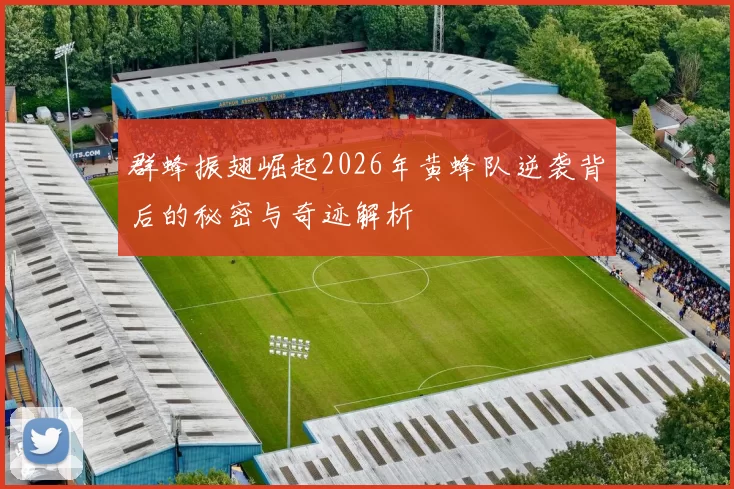 群蜂振翅崛起2026年黄蜂队逆袭背后的秘密与奇迹解析